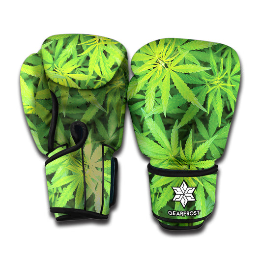 Green Pot Leaf Print Boxing Gloves