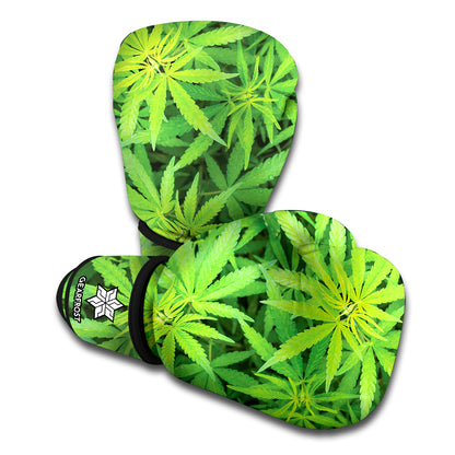 Green Pot Leaf Print Boxing Gloves