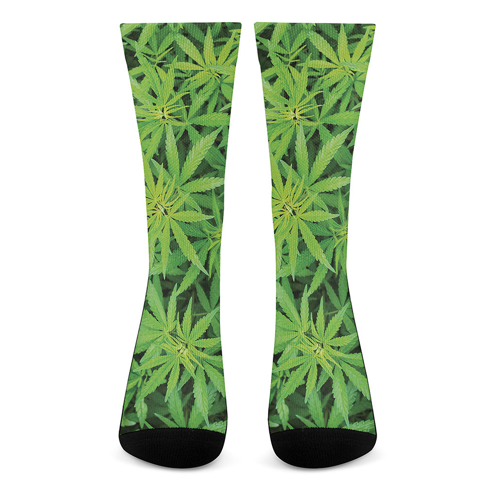 Green Pot Leaf Print Crew Socks