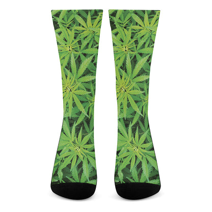 Green Pot Leaf Print Crew Socks