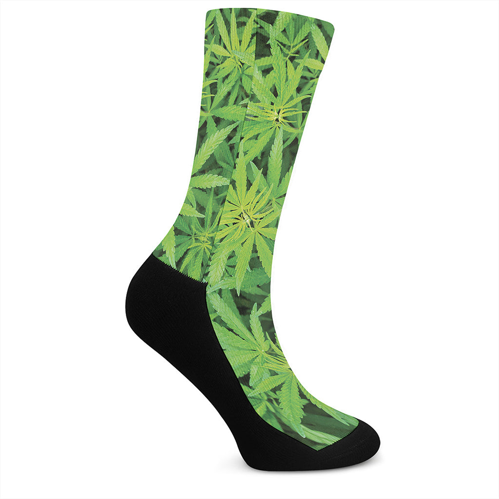 Green Pot Leaf Print Crew Socks