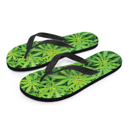 Green Pot Leaf Print Flip Flops