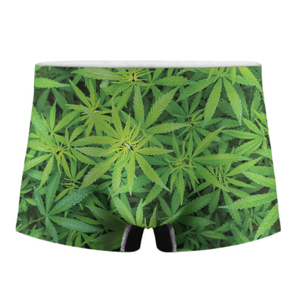 Green Pot Leaf Print Men's Boxer Briefs