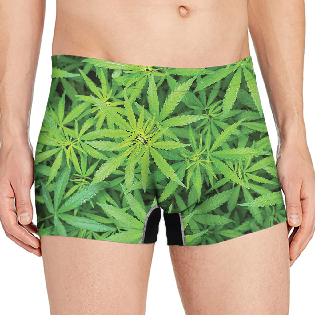 Green Pot Leaf Print Men's Boxer Briefs