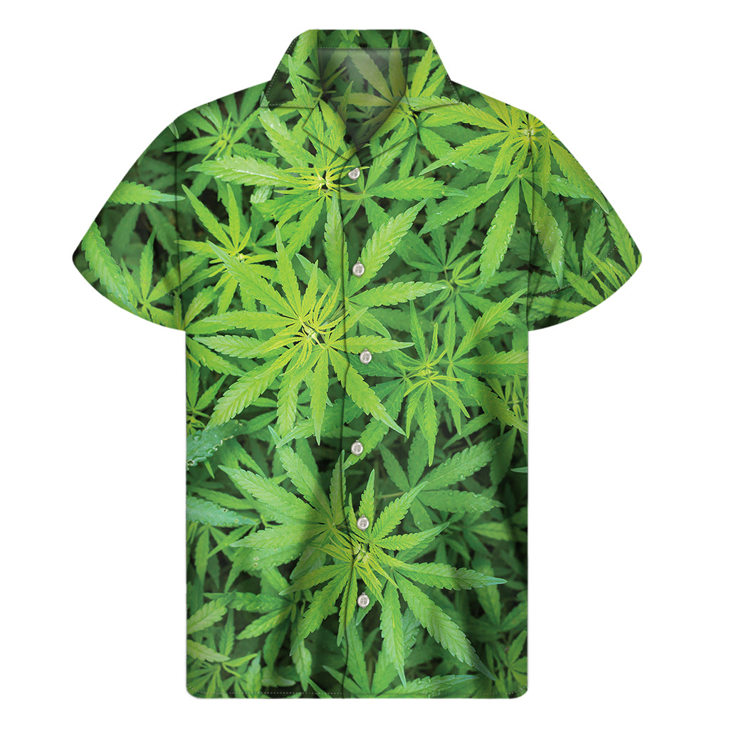 Green Pot Leaf Print Men's Short Sleeve Shirt