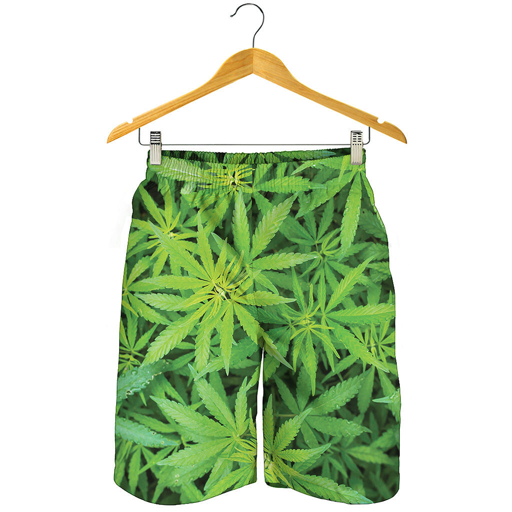Green Pot Leaf Print Men's Shorts