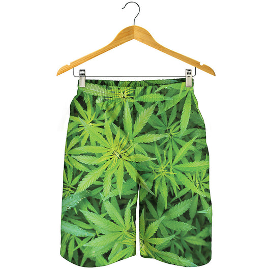Green Pot Leaf Print Men's Shorts