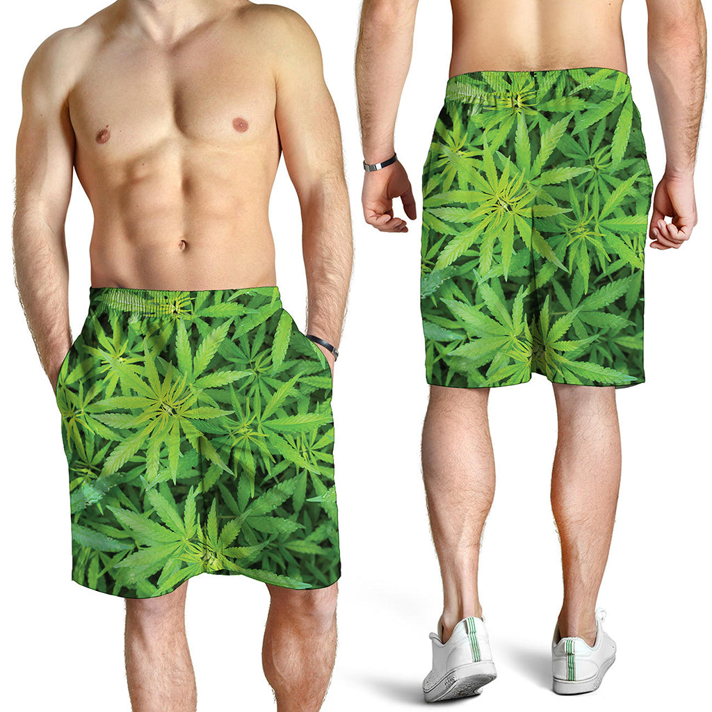 Green Pot Leaf Print Men's Shorts