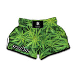 Green Pot Leaf Print Muay Thai Boxing Shorts