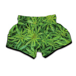 Green Pot Leaf Print Muay Thai Boxing Shorts