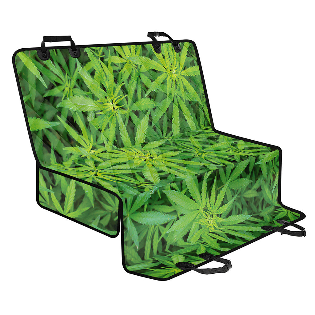 Green Pot Leaf Print Pet Car Back Seat Cover