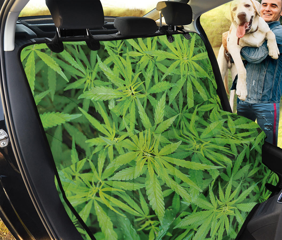 Green Pot Leaf Print Pet Car Back Seat Cover