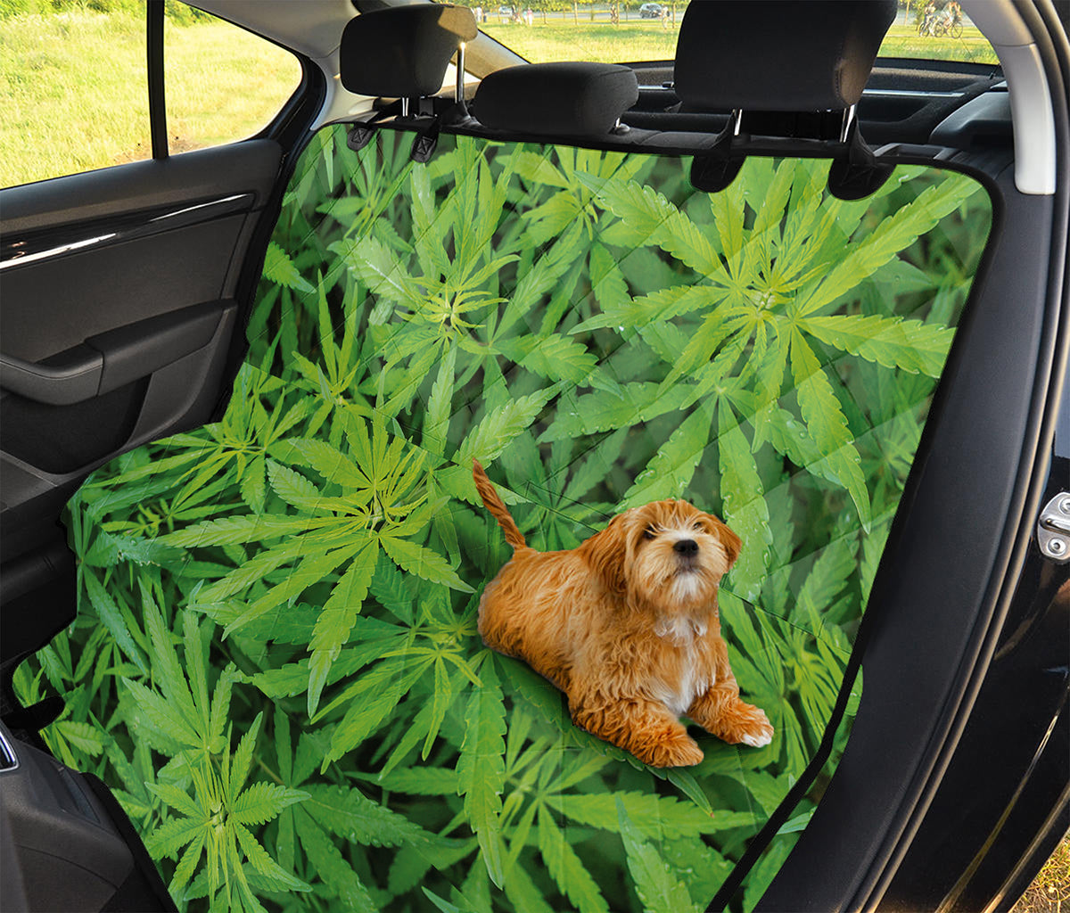 Green Pot Leaf Print Pet Car Back Seat Cover