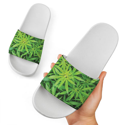 Green Pot Leaf Print White Slide Sandals