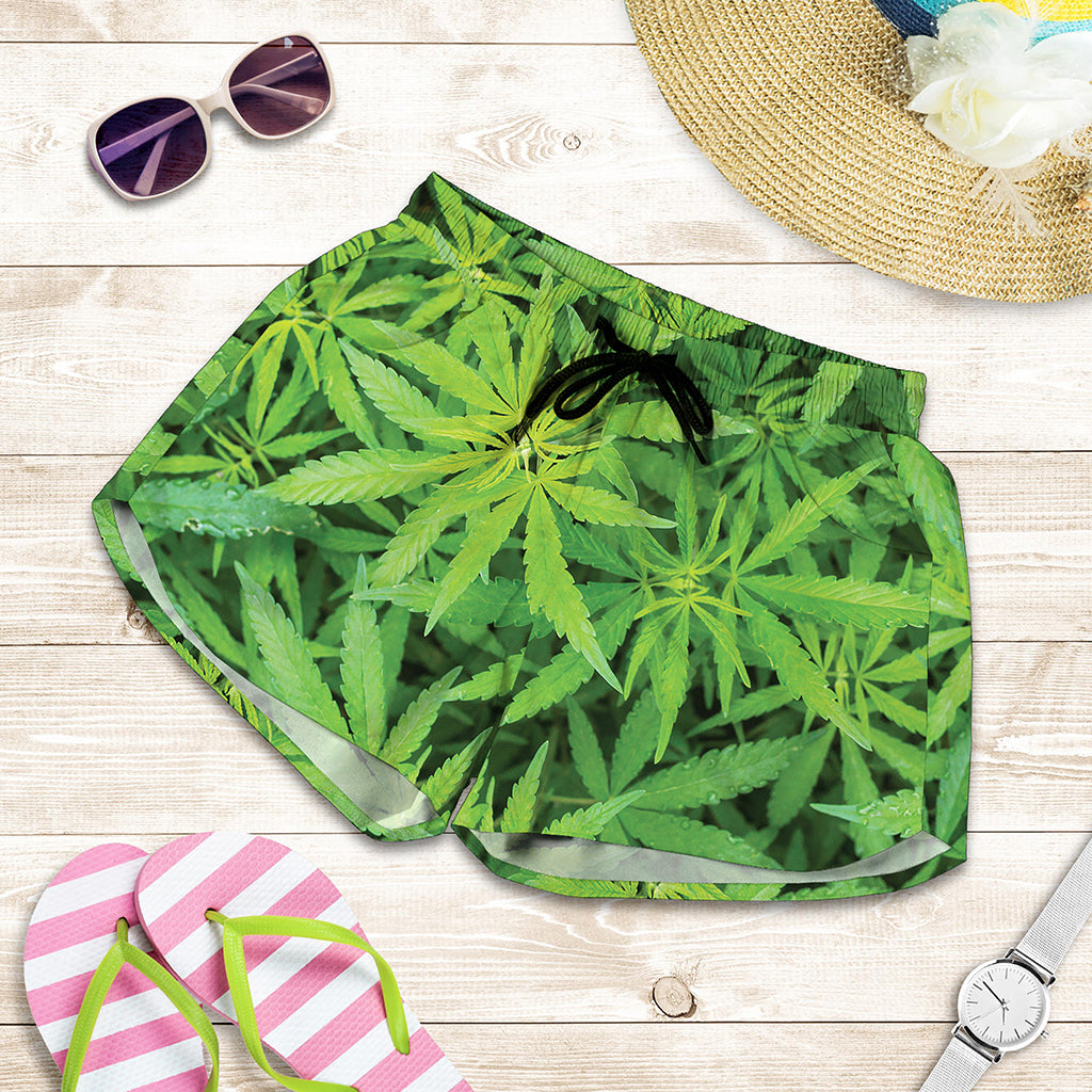 Green Pot Leaf Print Women's Shorts