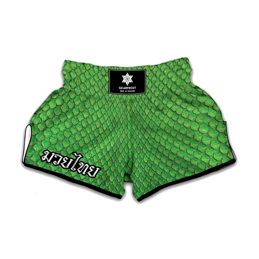 Green Python Snakeskin Print Muay Thai Boxing Shorts