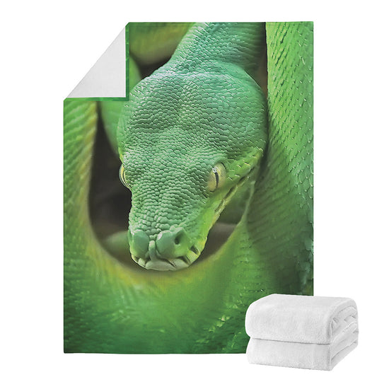 Green Reticulated Python Snake Print Blanket