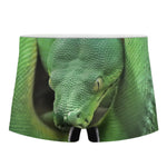 Green Reticulated Python Snake Print Men's Boxer Briefs