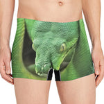 Green Reticulated Python Snake Print Men's Boxer Briefs