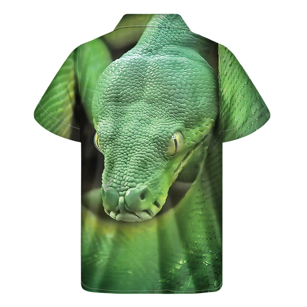Green Reticulated Python Snake Print Men's Short Sleeve Shirt