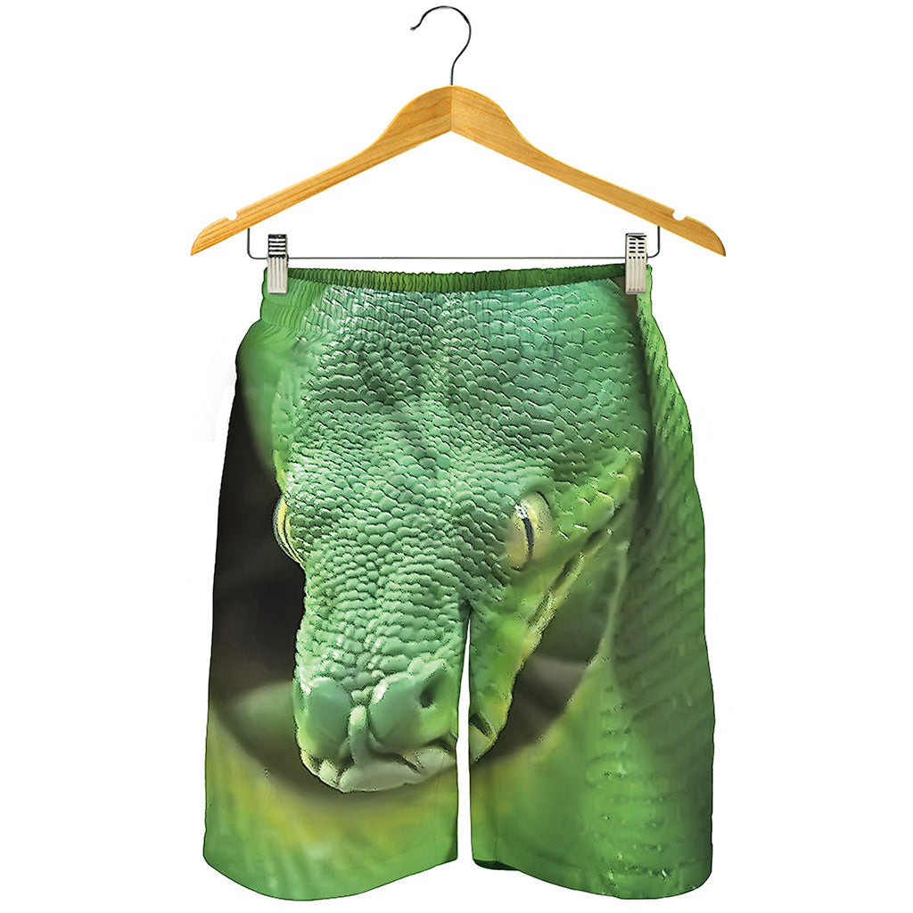Green Reticulated Python Snake Print Men's Shorts