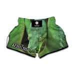 Green Reticulated Python Snake Print Muay Thai Boxing Shorts