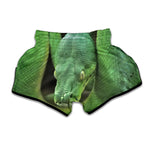 Green Reticulated Python Snake Print Muay Thai Boxing Shorts