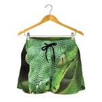 Green Reticulated Python Snake Print Women's Shorts