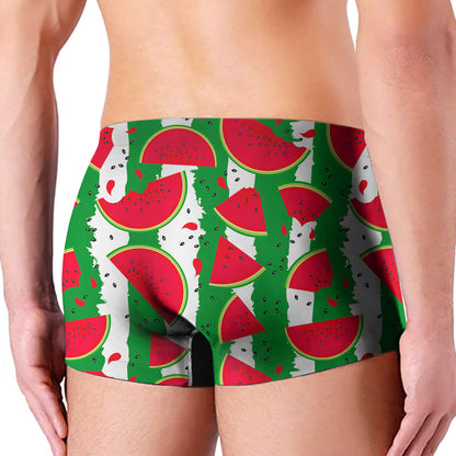 Green Stripes Watermelon Pattern Print Men's Boxer Briefs