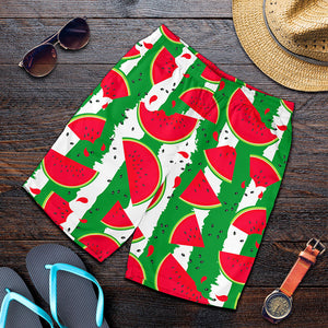 Green Stripes Watermelon Pattern Print Men's Shorts