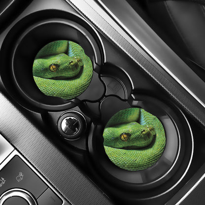 Green Tree Python Snake Print Car Coasters