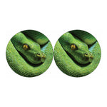 Green Tree Python Snake Print Car Coasters