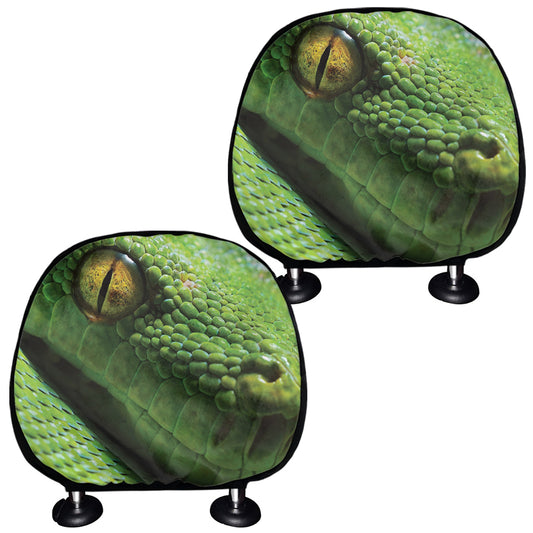 Green Tree Python Snake Print Car Headrest Covers