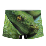 Green Tree Python Snake Print Men's Boxer Briefs