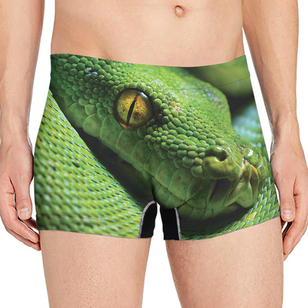 Green Tree Python Snake Print Men's Boxer Briefs