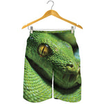 Green Tree Python Snake Print Men's Shorts