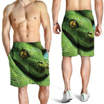 Green Tree Python Snake Print Men's Shorts