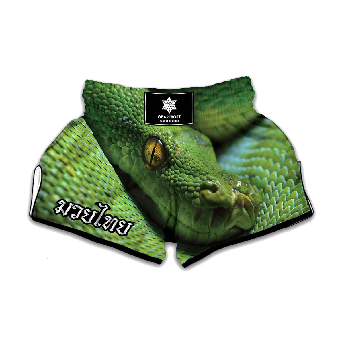 Green Tree Python Snake Print Muay Thai Boxing Shorts