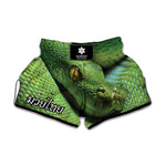 Green Tree Python Snake Print Muay Thai Boxing Shorts