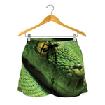 Green Tree Python Snake Print Women's Shorts