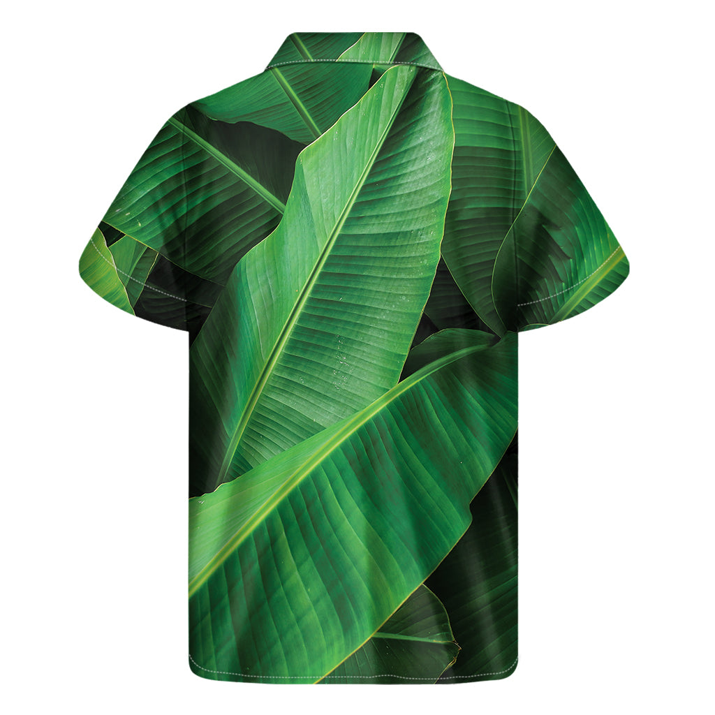 Green Tropical Banana Palm Leaf Print Men's Short Sleeve Shirt