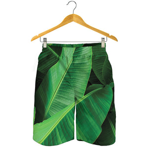 Green Tropical Banana Palm Leaf Print Men's Shorts