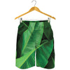 Green Tropical Banana Palm Leaf Print Men's Shorts