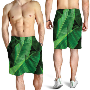 Green Tropical Banana Palm Leaf Print Men's Shorts