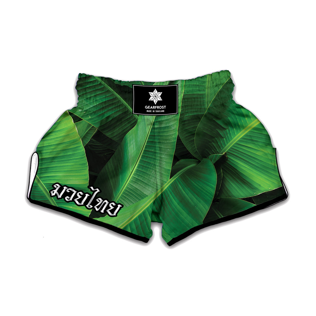 Green Tropical Banana Palm Leaf Print Muay Thai Boxing Shorts