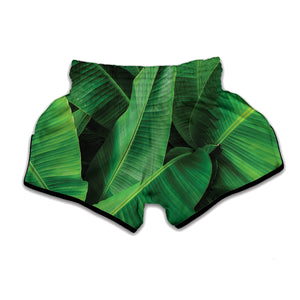 Green Tropical Banana Palm Leaf Print Muay Thai Boxing Shorts