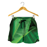 Green Tropical Banana Palm Leaf Print Women's Shorts