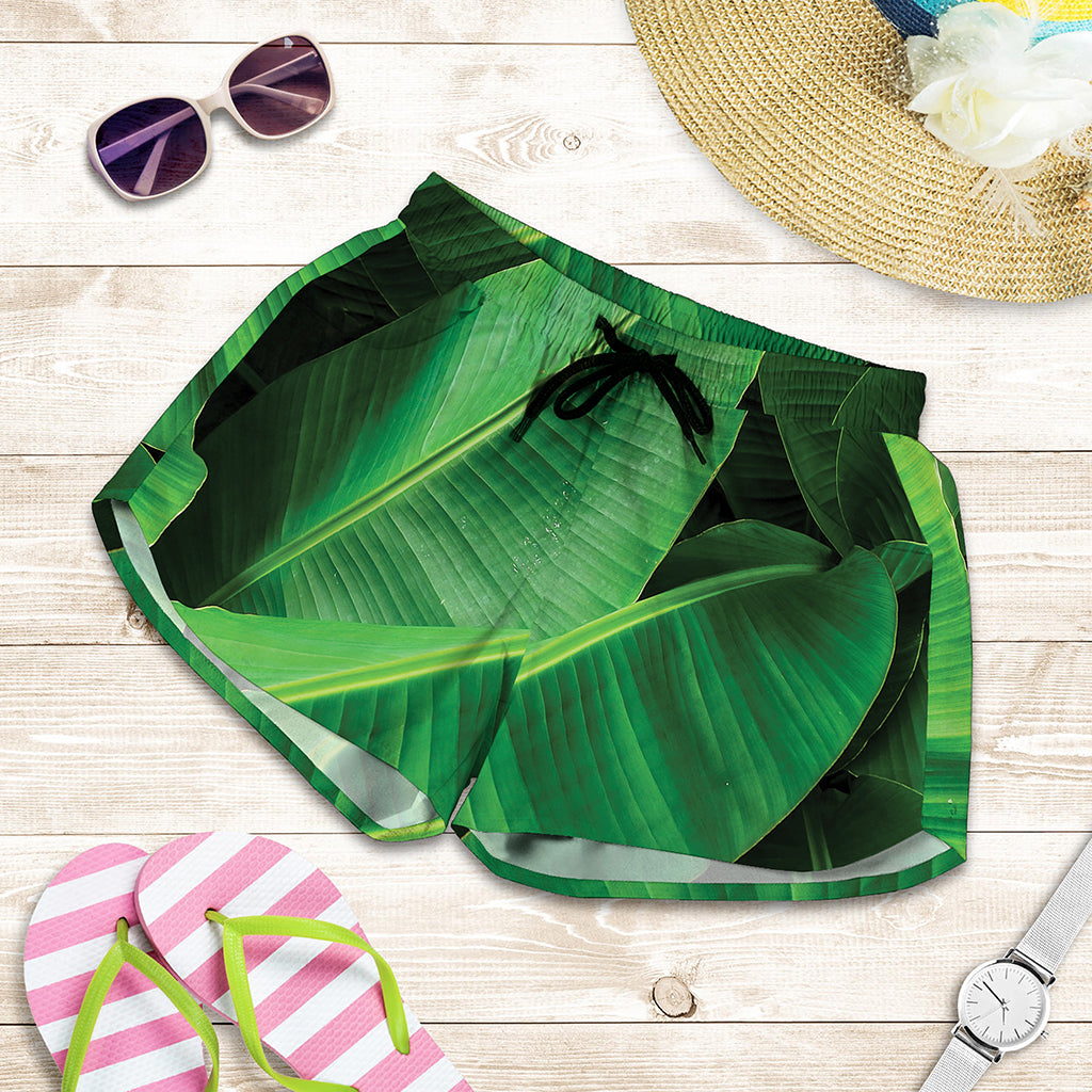 Green Tropical Banana Palm Leaf Print Women's Shorts