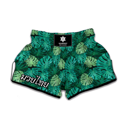 Green Tropical Monstera Pattern Print Muay Thai Boxing Shorts