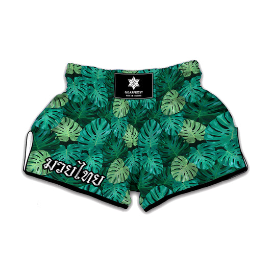 Green Tropical Monstera Pattern Print Muay Thai Boxing Shorts
